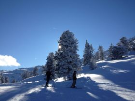 IMG_3407.JPG
