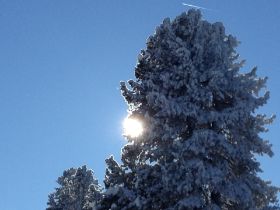 IMG_3406.JPG