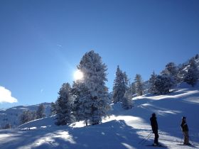 IMG_3408.JPG